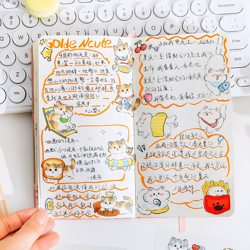 4sheets PET Cute Cat Stickers  - Art Craft Notebook recensie en prijs